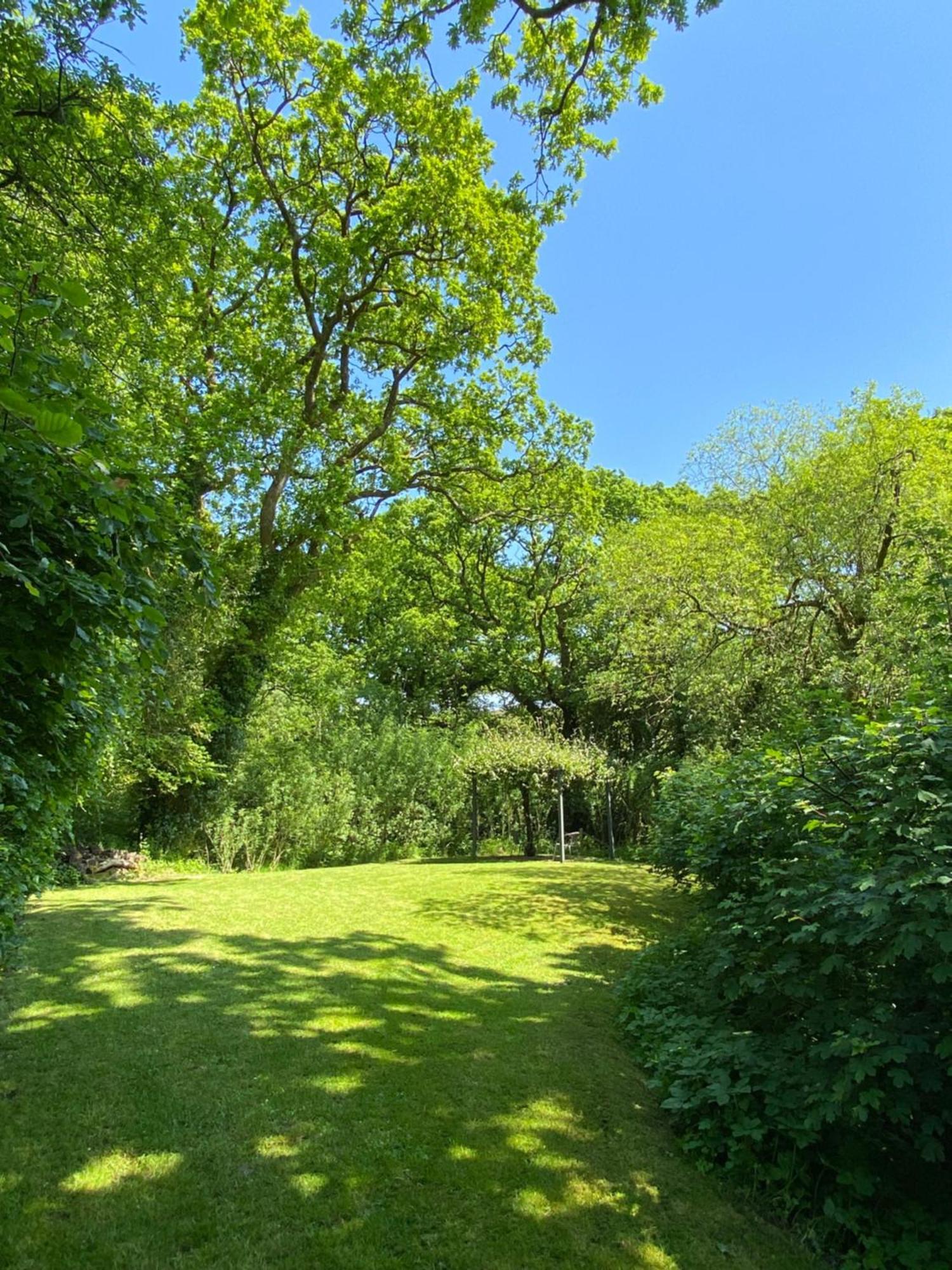 Petrock Holiday Cottages Newton Saint Petrock Zimmer foto